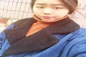 闪电犬电影免费观看英语版